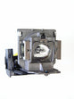 Genuine OEM lamp module in original packaging for the BENQ MP722, EP1230, MP723 Projector