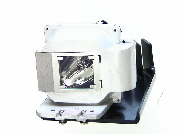 Image of original VIEWSONIC RLC-034 Projector Lamp