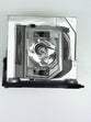 Optoma Bl Fp230J Projector Lamp Serial Number Beginning with the original OEM bulb and 6 month warranty