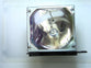 Genuine OEM lamp module in original packaging for the SHARP PG-D100, XG-NV1E, XV-Z1 Projector
