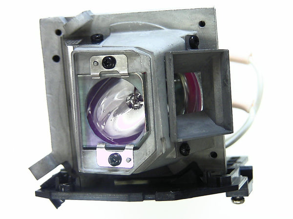 Image of original ACER EC.J6900.001 Projector Lamp