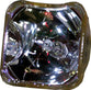 LG EAQ43069401 Replacement Lamp with OEM Bulb and 2 Year Warranty