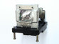 Digital Projection 114 229 Projector Lamp with the original OEM bulb and 6 month warranty