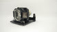 Hitachi Dt01431 Replacement Lamp with the original OEM bulb and 6 month warranty