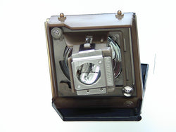 Genuine OEM lamp module in original packaging for the ACER PD116 Projector