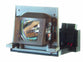 MITSUBISHI VLT-XD420LP Replacement Lamp with OEM Bulb and 2 Year Warranty