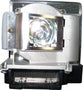 MITSUBISHI VLT-XD221LP Replacement Lamp with OEM Bulb and 2 Year Warranty