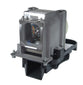 SONY LMP-C240 Replacement Lamp with OEM Bulb and 2 Year Warranty