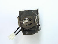 Image of original VIEWSONIC RLC-079 Projector Lamp