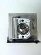 Dell 725 10196 Projector Lamp with the original OEM bulb and 6 month warranty