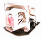 DUKANE 456-8404 Replacement Lamp with OEM Bulb and 2 Year Warranty