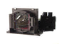 MITSUBISHI VLT-HC910LP Replacement Lamp with OEM Bulb and 2 Year Warranty