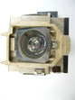 BENQ 5J.J2G01.001 Replacement Lamp with OEM Bulb and 2 Year Warranty
