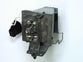 Genuine OEM lamp module in original packaging for the NEC VE303G, VE303XG Projector