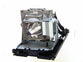 Genuine OEM lamp module in original packaging for the BENQ W1000, W1000+ Projector