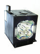 Genuine OEM lamp module in original packaging for the SHARP XV-Z10000, XV-10000, XV-Z1000 Projector