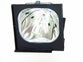 Canon Lv Lp07 Projector Lamp with the original OEM bulb and 6 month warranty