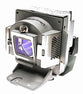 BENQ 5J.J4105.001 Replacement Lamp with OEM Bulb and 2 Year Warranty