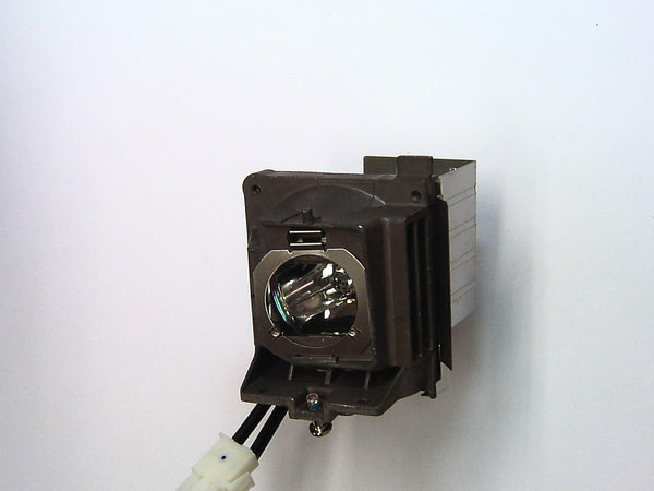 Image of hybrid ACER MC.JL811.001 Projector Lamp