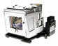 SHARP AND350LP/1 Replacement Lamp with OEM Bulb and 2 Year Warranty