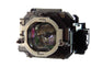 SHARP ANC430LP/1 Replacement Lamp with OEM Bulb and 2 Year Warranty