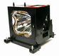 SONY LMP-H200 Replacement Lamp with OEM Bulb and 2 Year Warranty