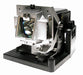 PROMETHEAN 5811116635 Replacement Lamp with OEM Bulb and 2 Year Warranty